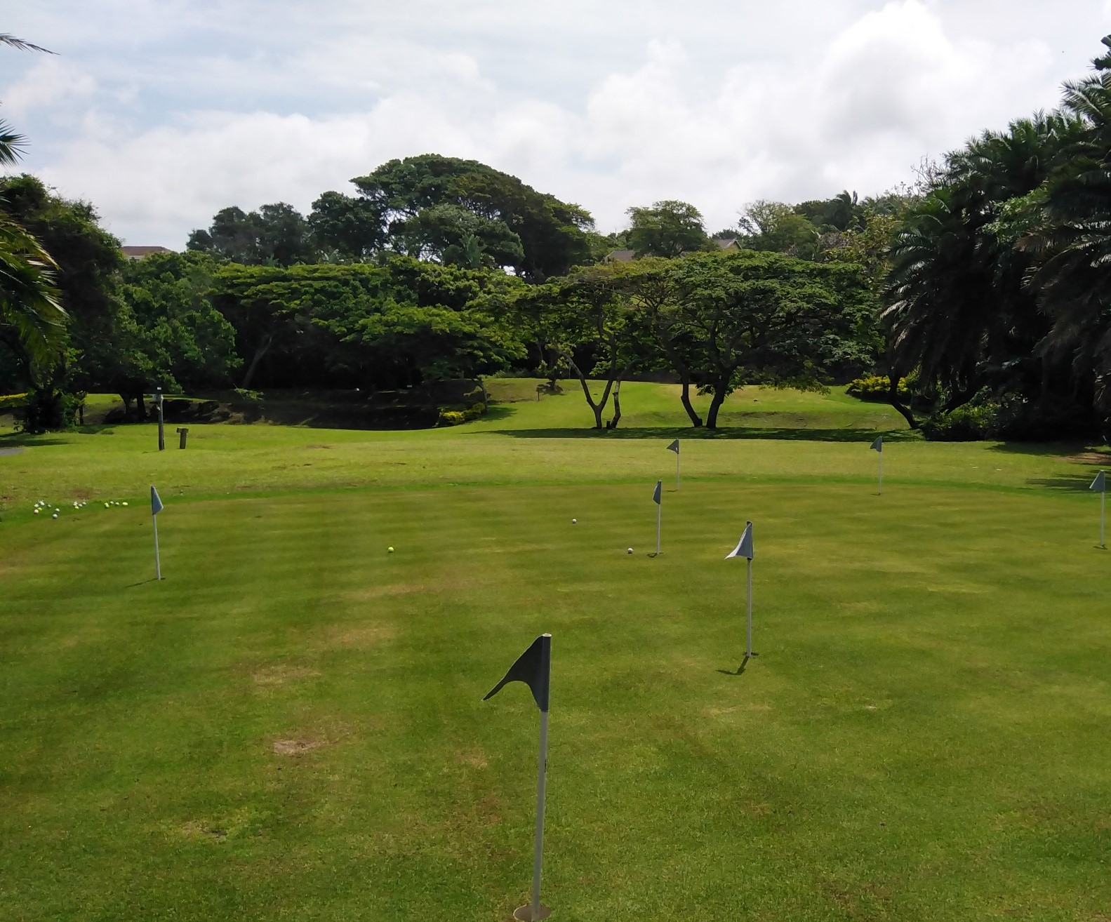 Gofl Gr Pic 3 20221103_012817799